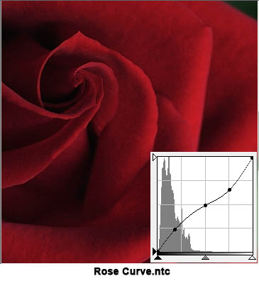 rose curve
